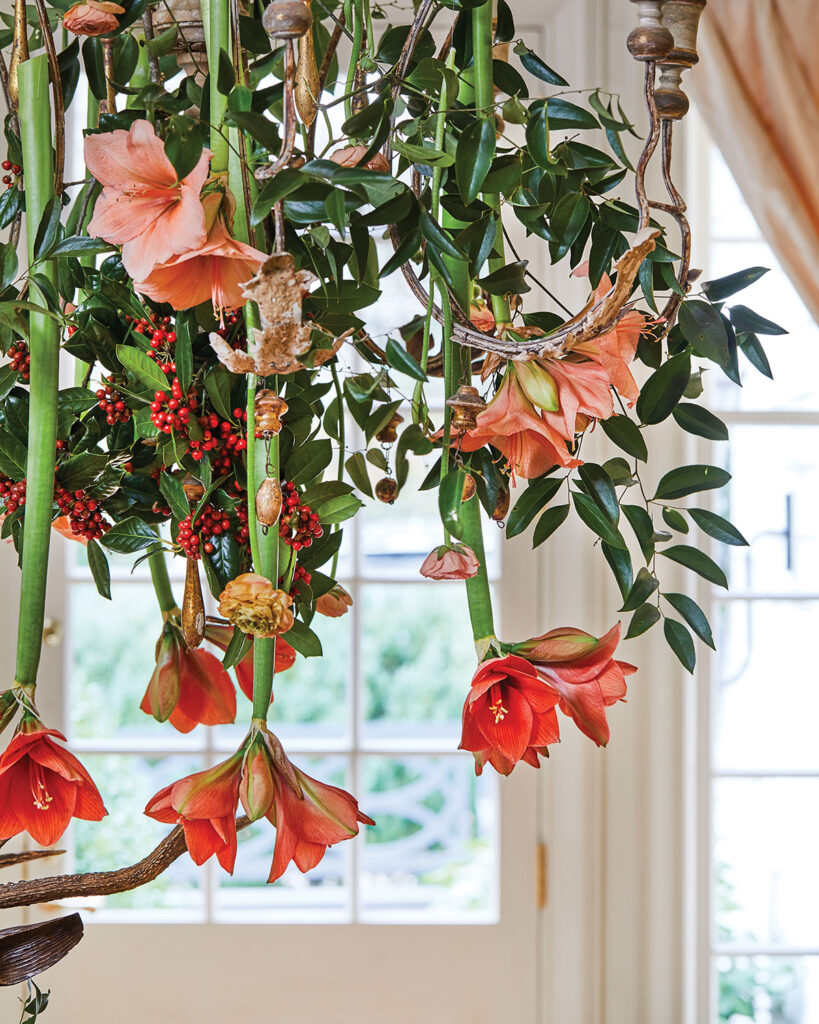 Amaryllis flower arrangement hanging from a Chandelier