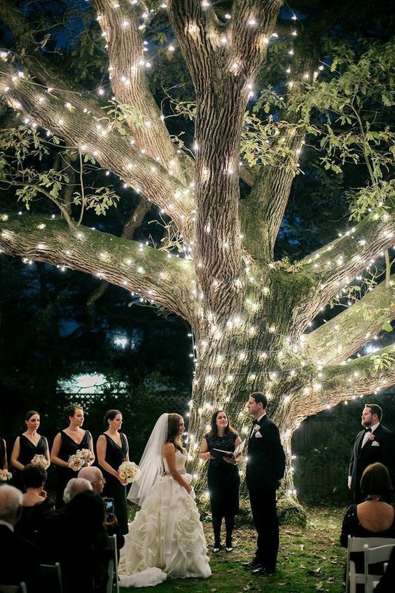 outdoor wedding in winter with tree lights